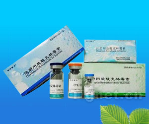 注射用鹽酸克林霉素全面解析 從功效、代理到市場準(zhǔn)入信息